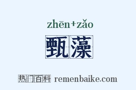 甄藻是什么意思的图片